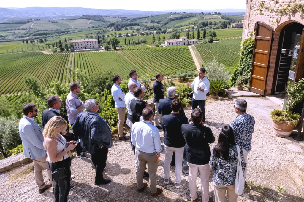Wine investment, Olive oil investment, Vineyard investment, Olive grove investment, Winery visit, Wine production, Olive oil production, Agricultural investment, Lifestyle investment, Luxury countryside